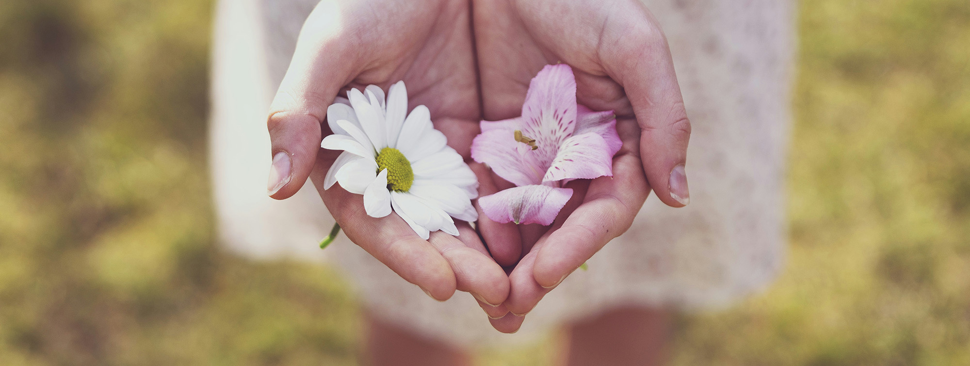 A woman holding flowers between her hands. Representing how a therapist for women in NYC can help you flourish. Get started with therapy for women!