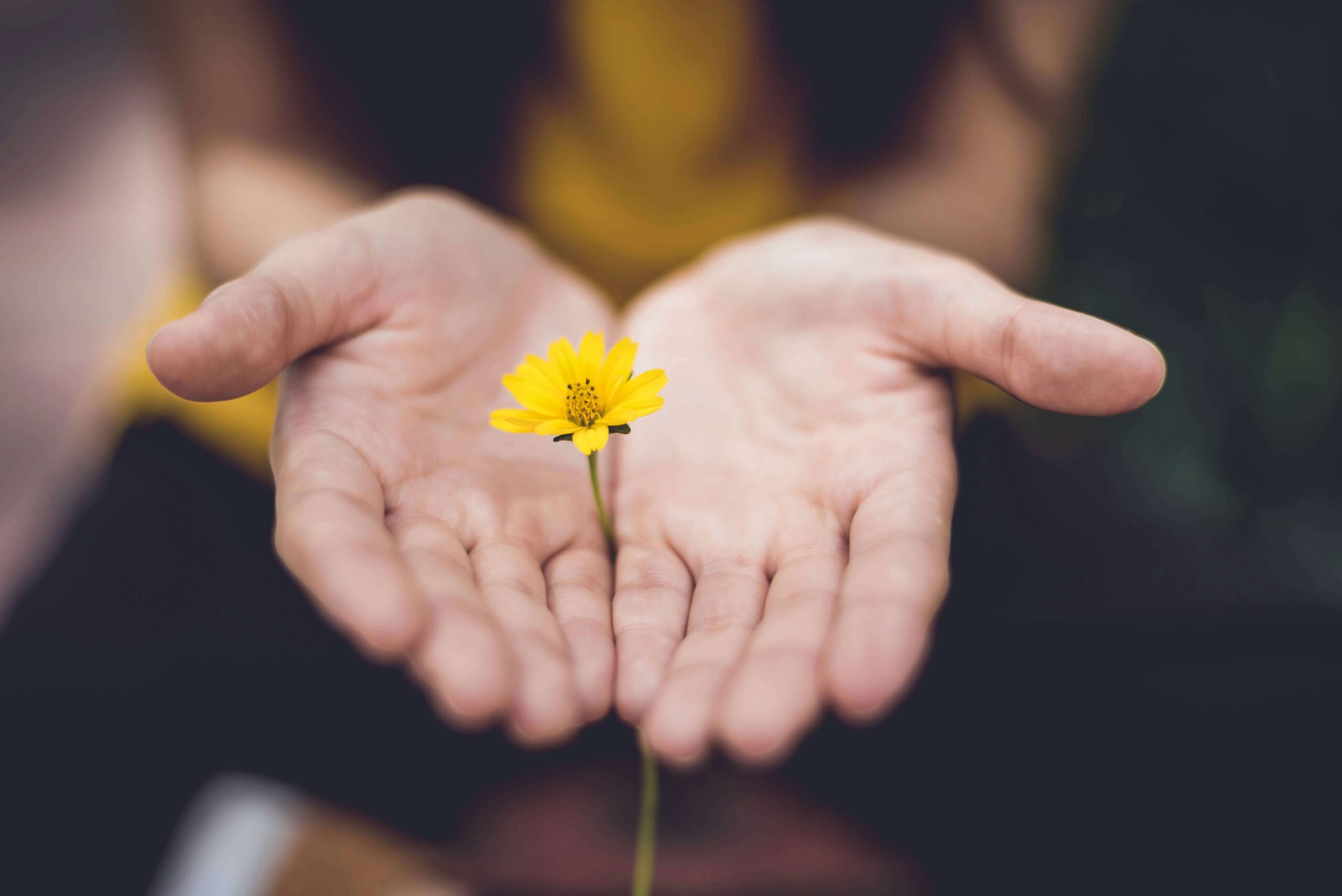A woman holding a small yellow flower. If you are looking for a therapist for women's issues in NYC, NY, look no further! Learn more mindfulness tips here.